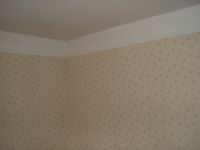 dscf0380