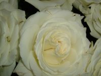 dscf0213