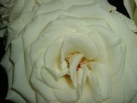 dscf0214