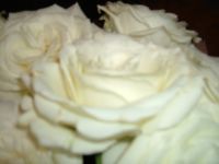 dscf0215