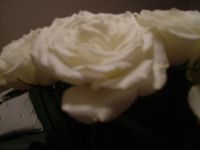 dscf0219