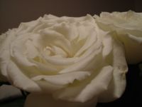 dscf0222