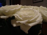 dscf0223