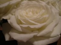 dscf0225