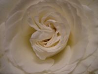 dscf0226