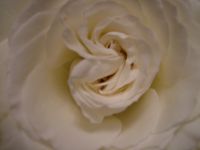 dscf0228