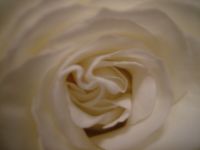 dscf0230
