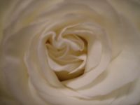 dscf0232