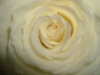 dscf0233