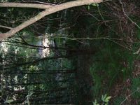 DSCF1612