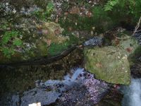 DSCF1511