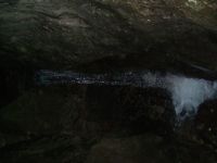 DSCF1523