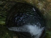 DSCF1526