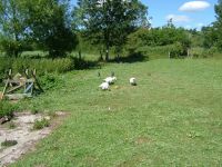 dscf0477