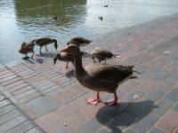 dscf0560