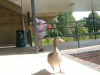 dscf0562