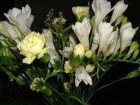 DSCF1444
