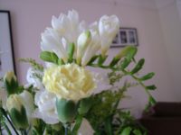 DSCF1446