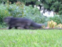 DSCF1769