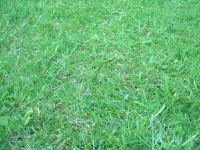DSCF1771