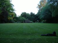 DSCF1781