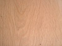 dscf0291