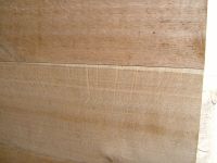 dscf0292