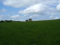 dscf0431