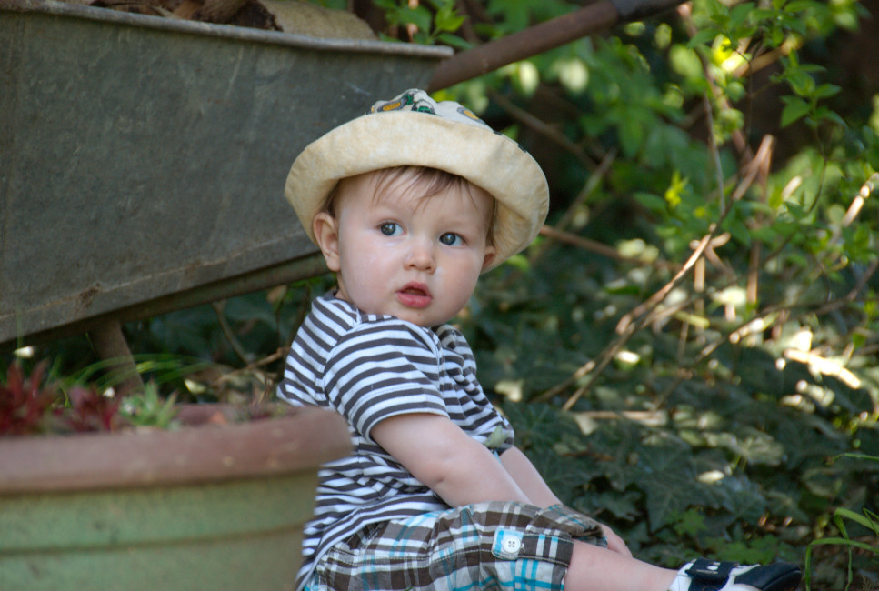 101NCD80_DSC_1279