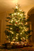 100NCD80_DSC_4593