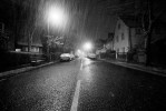 100NCD80_DSC_5394