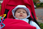 101NCD80_DSC_0435