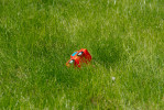 101NCD80_DSC_1211