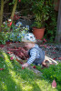 101NCD80_DSC_1735