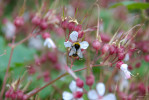 101NCD80_DSC_2160